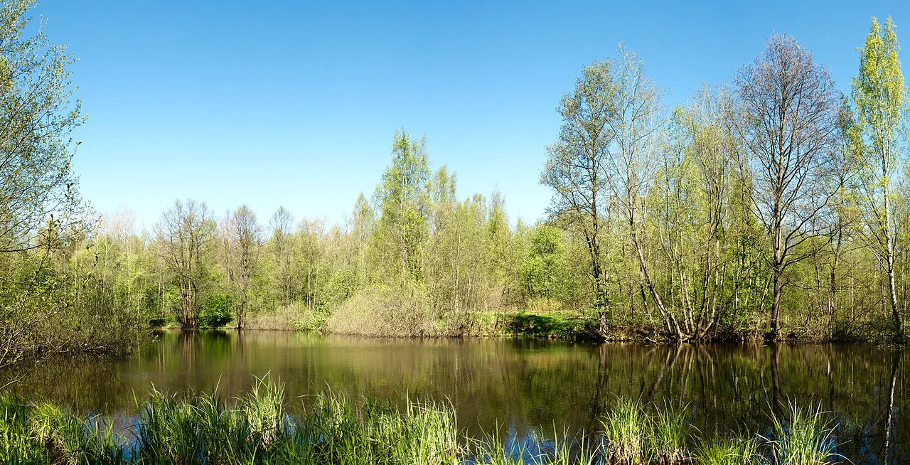 Le cavalier de bronze et la pierre de tonnerre Le cavalier de bronze et la pierre de tonnerre saint petersbourg russie 4 etang petrovsky Le-cavalier-de-bronze-et-la-pierre-de-tonnerre-saint-petersbourg-russie-4-etang-petrovsky