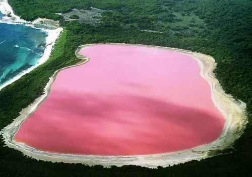 Le lac Hillier, lac rose bonbon d'Australie Le lac Hillier lac rose bonbon d Australie 3 Le-lac-Hillier-lac-rose-bonbon-d-Australie-3