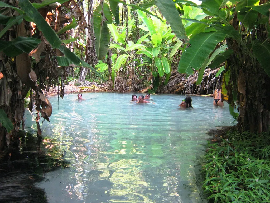 Les Fervedouros, merveilleuses piscines naturelles du parc Jalapão au Brésil Les Fervedouros merveilleuses piscines naturelles du parc Jalapao bresil 12 Les-Fervedouros-merveilleuses-piscines-naturelles-du-parc-Jalapao-bresil-12