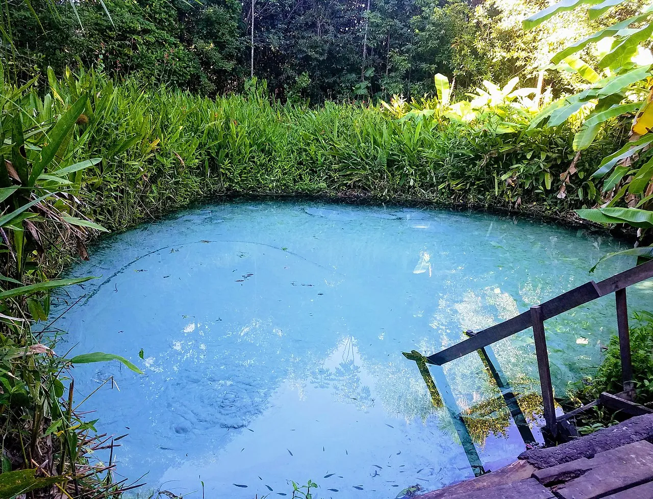 Les Fervedouros, merveilleuses piscines naturelles du parc Jalapão au Brésil Les Fervedouros merveilleuses piscines naturelles du parc Jalapao bresil 2 Les-Fervedouros-merveilleuses-piscines-naturelles-du-parc-Jalapao-bresil-2