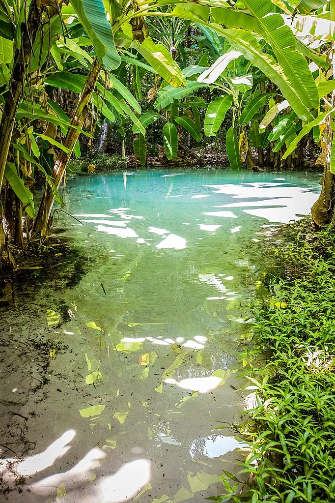 Les Fervedouros, merveilleuses piscines naturelles du parc Jalapão au Brésil Les Fervedouros merveilleuses piscines naturelles du parc Jalapao bresil 3 Les-Fervedouros-merveilleuses-piscines-naturelles-du-parc-Jalapao-bresil-3