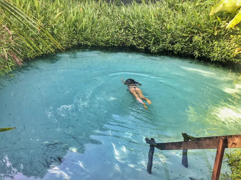Les Fervedouros, merveilleuses piscines naturelles du parc Jalapão au Brésil Les Fervedouros merveilleuses piscines naturelles du parc Jalapao bresil 8 Les-Fervedouros-merveilleuses-piscines-naturelles-du-parc-Jalapao-bresil-8