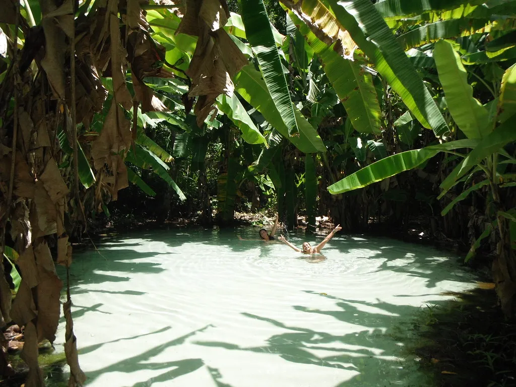 Les Fervedouros, merveilleuses piscines naturelles du parc Jalapão au Brésil Les Fervedouros merveilleuses piscines naturelles du parc Jalapao bresil 9 Les-Fervedouros-merveilleuses-piscines-naturelles-du-parc-Jalapao-bresil-9