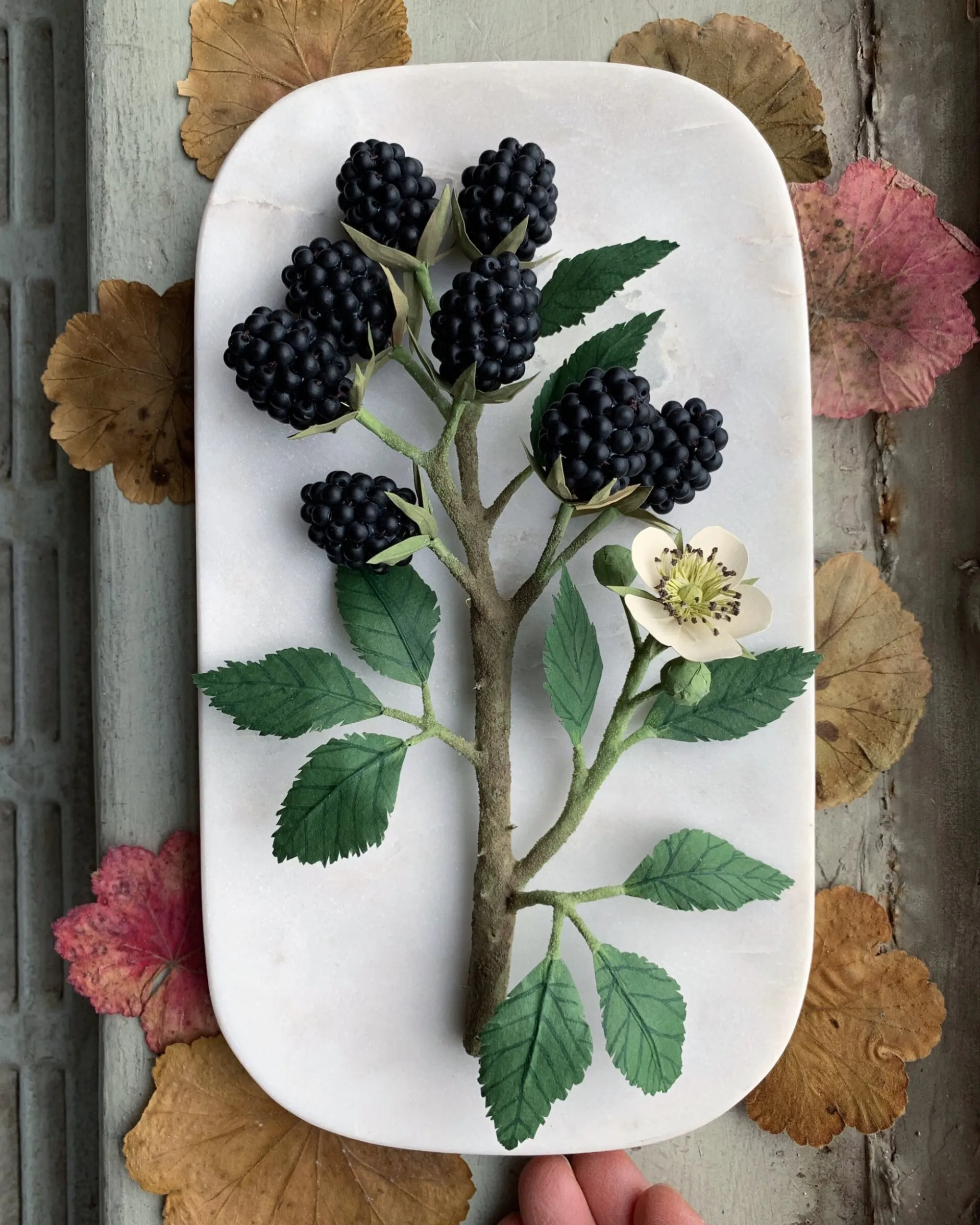 Les fleurs et champignons de papier de Ann Wood Les fleurs et champignons de papier de Ann Wood 2 Les-fleurs-et-champignons-de-papier-de-Ann-Wood