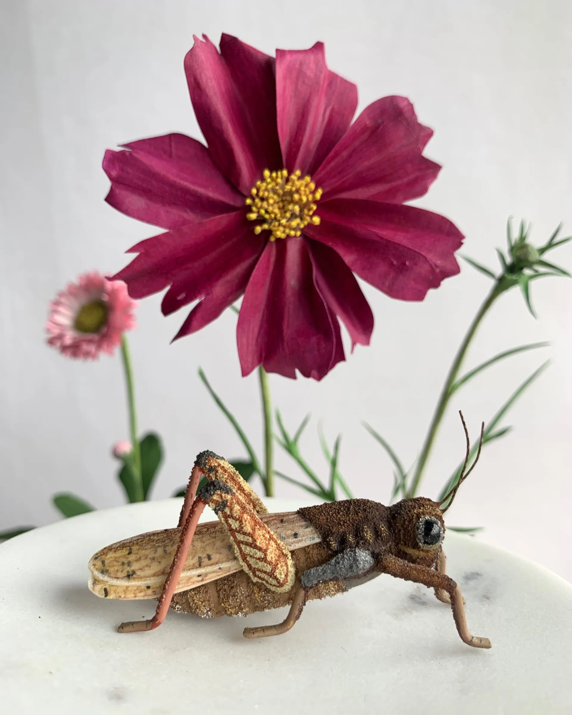 Les fleurs et champignons de papier de Ann Wood Les fleurs et champignons de papier de Ann Wood 3 Les-fleurs-et-champignons-de-papier-de-Ann-Wood