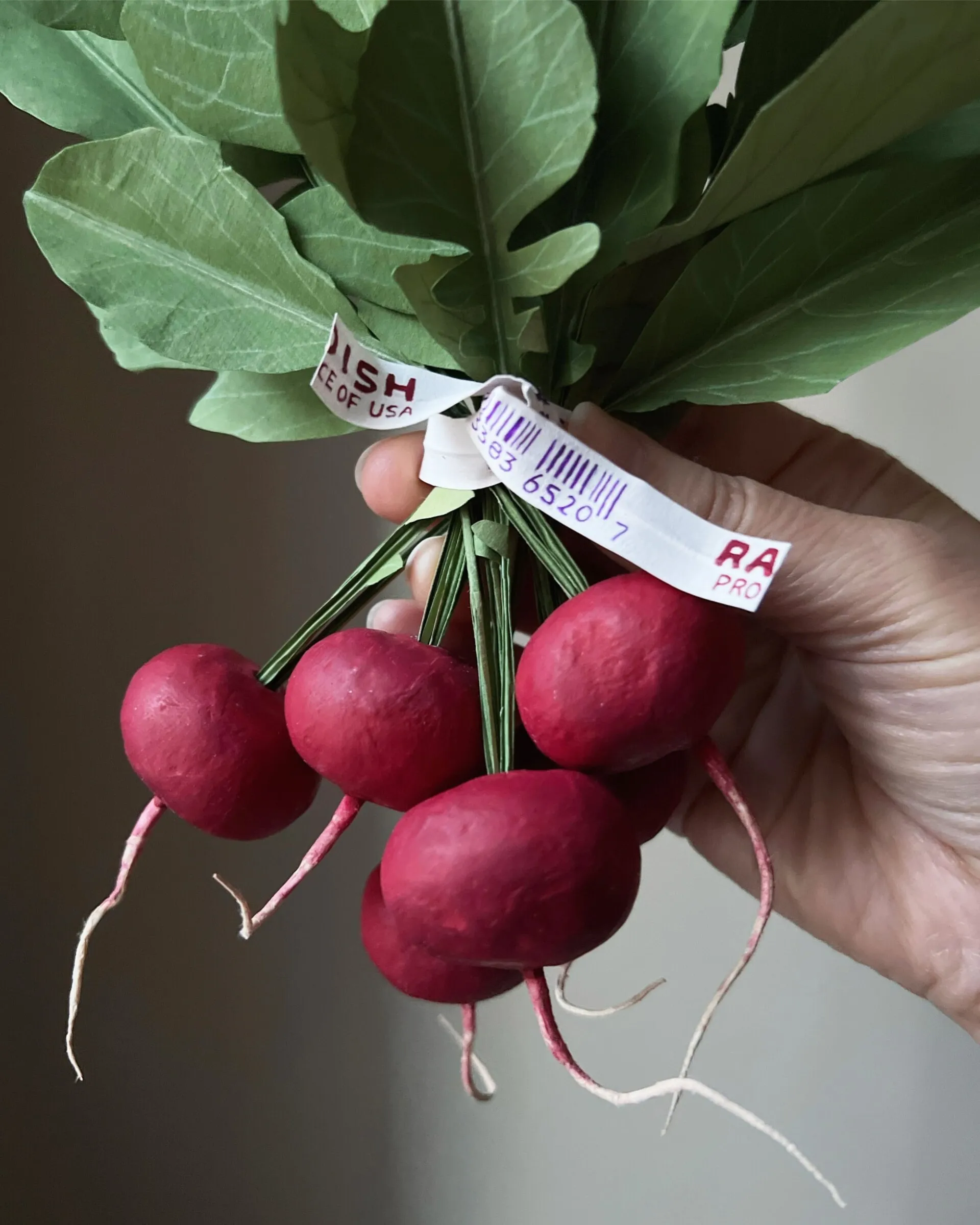 Les fleurs et champignons de papier de Ann Wood Les fleurs et champignons de papier de Ann Wood 4 Les-fleurs-et-champignons-de-papier-de-Ann-Wood