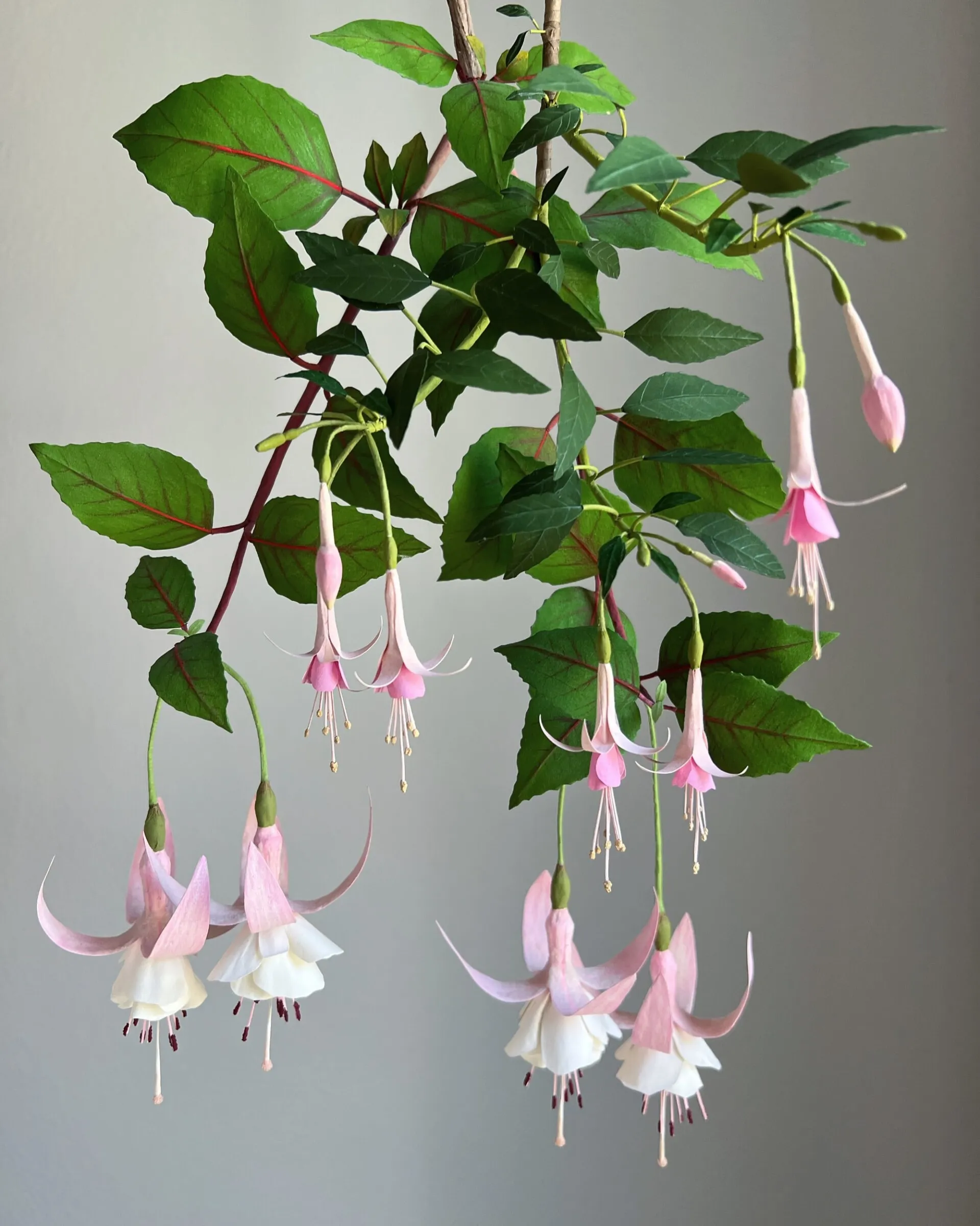 Les fleurs et champignons de papier de Ann Wood Les fleurs et champignons de papier de Ann Wood 5 Les-fleurs-et-champignons-de-papier-de-Ann-Wood