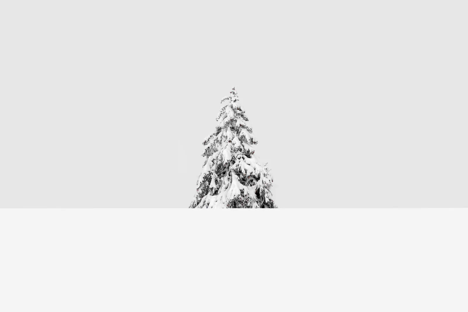 Natu.rae XVI et XVII – de nouvelles magnifiques photos de nature par Gustav Willeit Natu rae XVI et XVII–de nouvelles magnifiques photos de nature par Gustav Willeit 2 Natu-rae-XVI-et-XVII–de-nouvelles-magnifiques-photos-de-nature-par-Gustav-Willeit