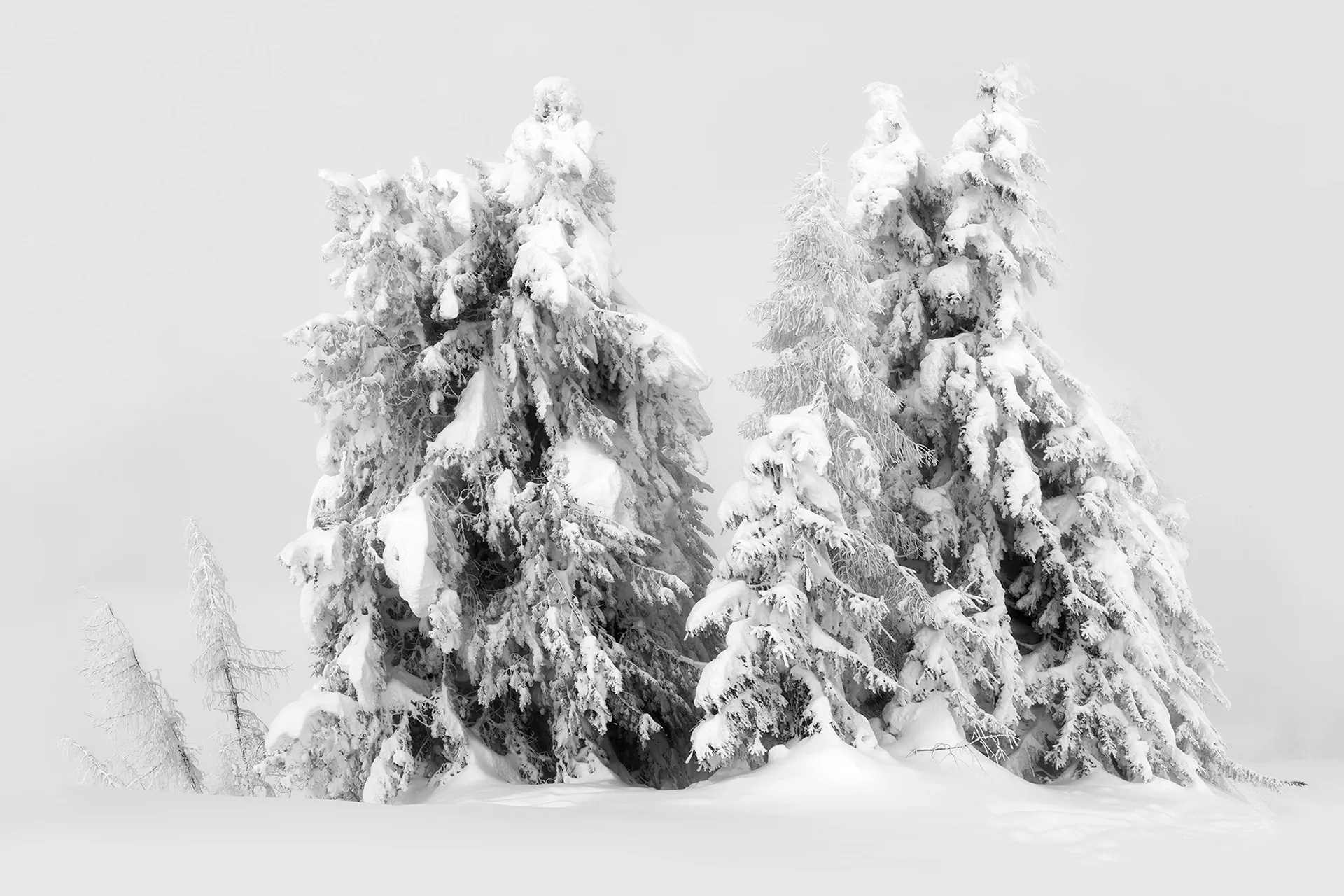 Natu.rae XVI et XVII – de nouvelles magnifiques photos de nature par Gustav Willeit Natu rae XVI et XVII–de nouvelles magnifiques photos de nature par Gustav Willeit 3 Natu-rae-XVI-et-XVII–de-nouvelles-magnifiques-photos-de-nature-par-Gustav-Willeit