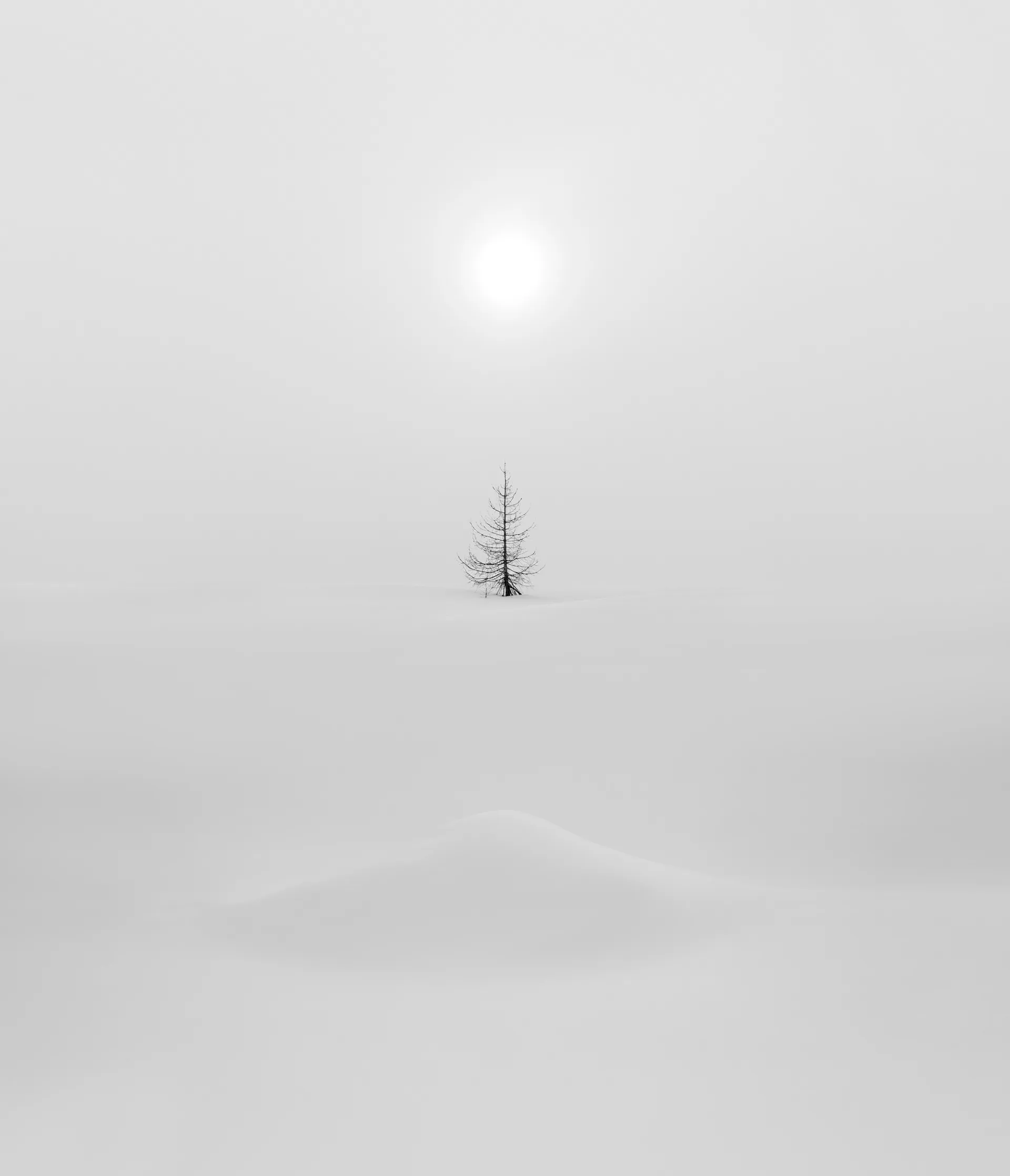 Natu.rae XVI et XVII – de nouvelles magnifiques photos de nature par Gustav Willeit Natu rae XVI et XVII–de nouvelles magnifiques photos de nature par Gustav Willeit 4 Natu-rae-XVI-et-XVII–de-nouvelles-magnifiques-photos-de-nature-par-Gustav-Willeit