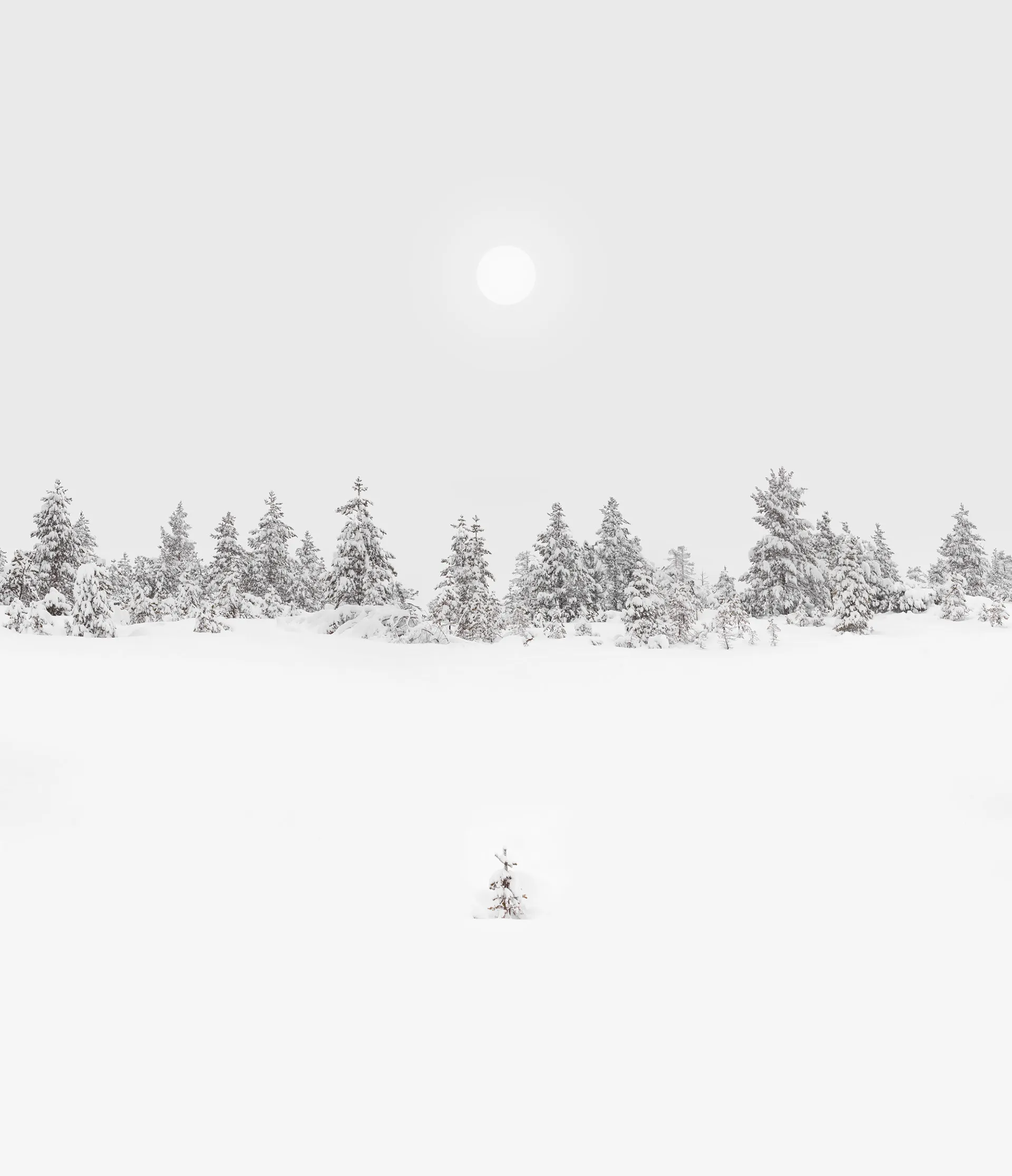 Natu.rae XVI et XVII – de nouvelles magnifiques photos de nature par Gustav Willeit Natu rae XVI et XVII–de nouvelles magnifiques photos de nature par Gustav Willeit 5 Natu-rae-XVI-et-XVII–de-nouvelles-magnifiques-photos-de-nature-par-Gustav-Willeit