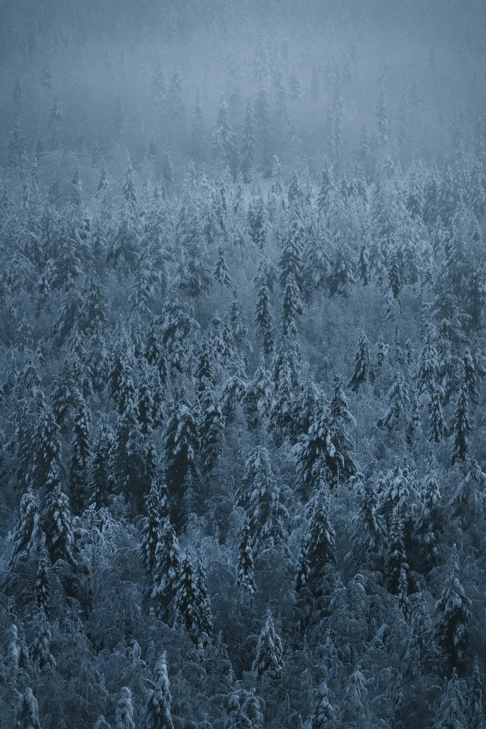 Quelques images de l'hiver en Laponie par Stian Klo Quelques images de l hiver en Laponie finlande par Stian Klo 8 Quelques-images-de-l-hiver-en-Laponie-finlande-par-Stian-Klo