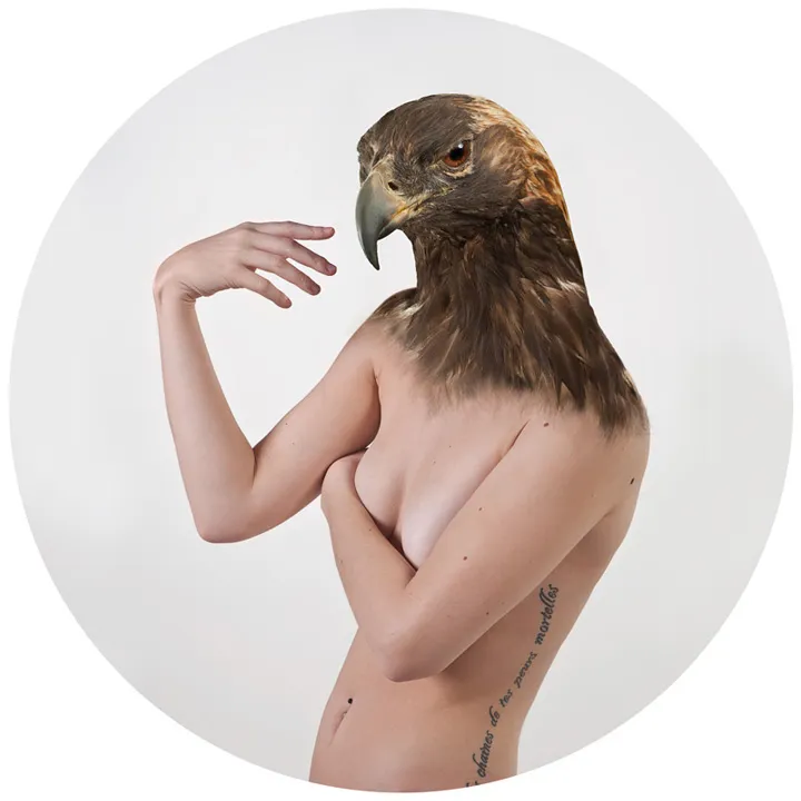 Therianthropy - Thérianthropie par Ulric Colette Therianthropy Therianthropie par Ulric Colette 4 femme a tete de faucon Therianthropy-Therianthropie-par-Ulric-Colette-4-femme-a-tete-de-faucon