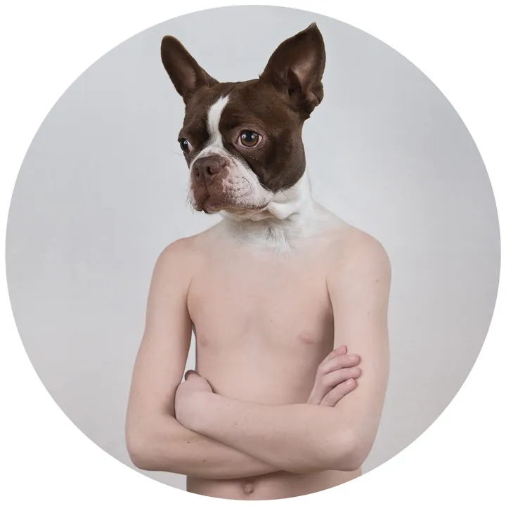 Thérianthropie : les portraits mi-humains mi-animaux d’Ulric Collette Therianthropy Therianthropie par Ulric Colette 6 homme a tete de bouledogue Portrait hybride entre corps humain et tête d’animal par Ulric Collette : mi-homme mi-bouledogue