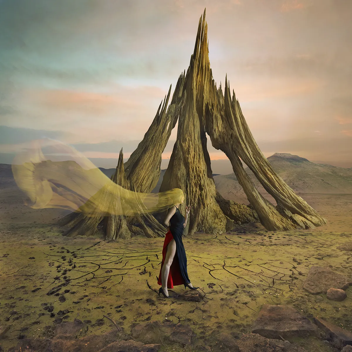 In the woods - des images surréalistes autour du bois par Dariusz Klimczak in the woods des images surrealistes autour du bois par Dariusz Klimczak 2 in-the-woods-des-images-surrealistes-autour-du-bois-par-Dariusz-Klimczak