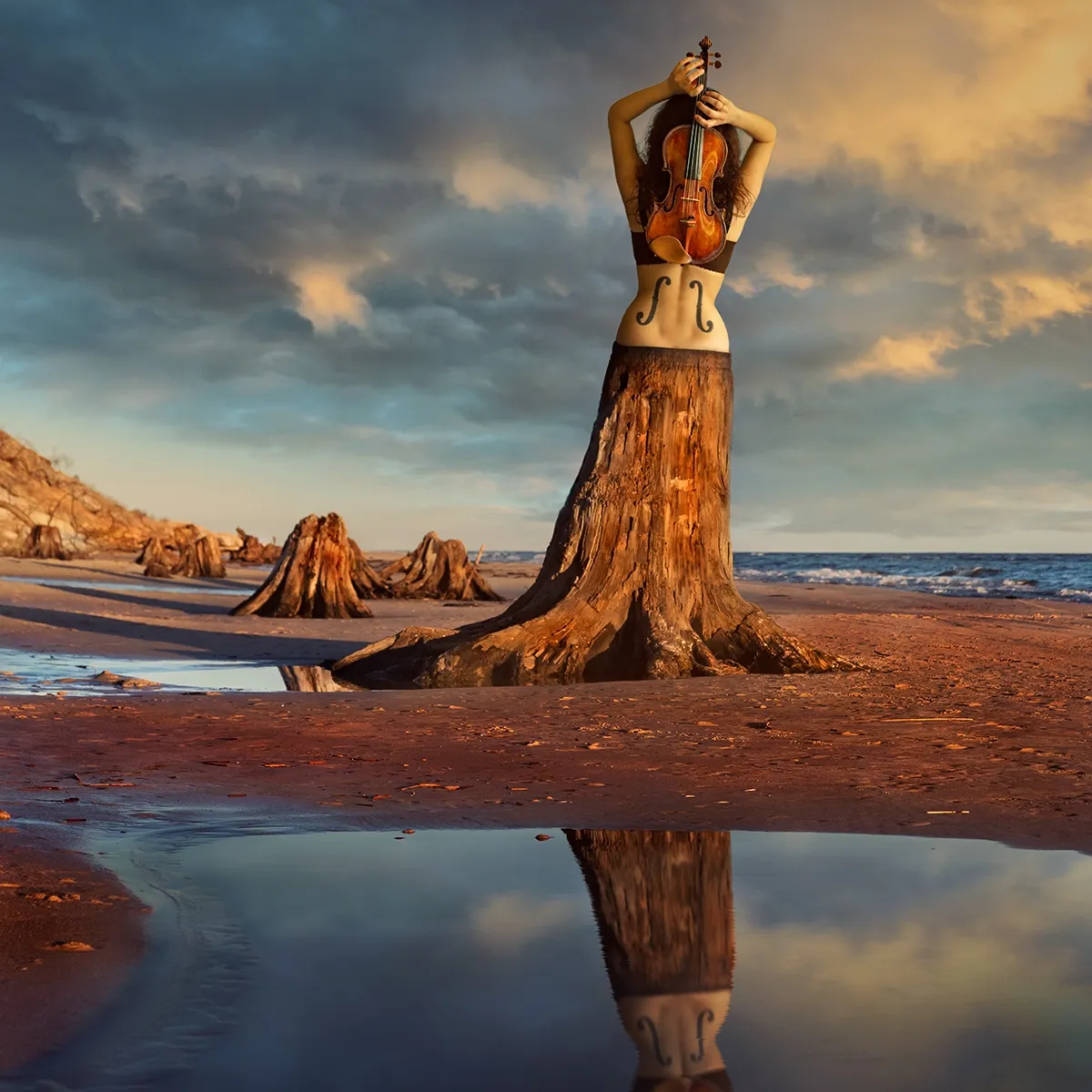 In the woods - des images surréalistes autour du bois par Dariusz Klimczak in the woods des images surrealistes autour du bois par Dariusz Klimczak 9 in-the-woods-des-images-surrealistes-autour-du-bois-par-Dariusz-Klimczak