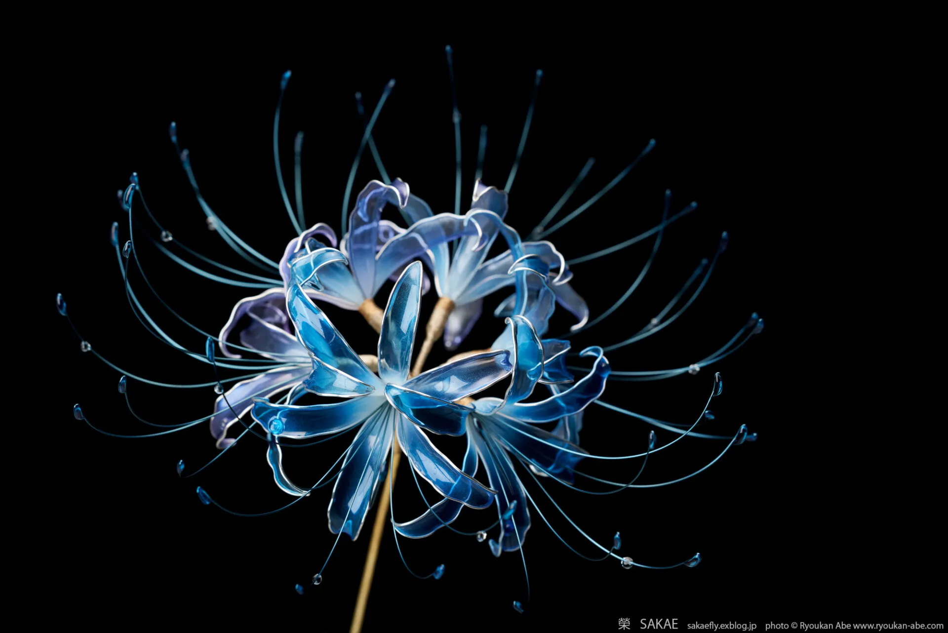 Kanzashi - des fleurs de résine et de fil de fer en épingle à cheveux kanzashi des fleurs de resine et de fil de fer en epingle a cheveux sakae 4 kanzashi-des-fleurs-de-resine-et-de-fil-de-fer-en-epingle-a-cheveux-sakae