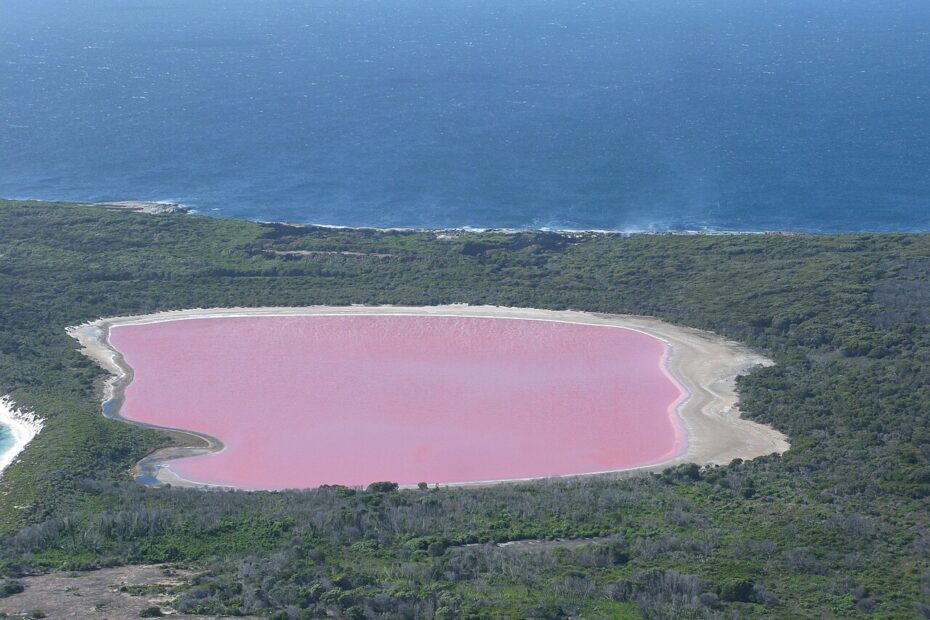 Lac Hillier : pourquoi le célèbre lac rose d’Australie a perdu sa couleur lac hillier middle island 2011 Lac Hillier rose sur Middle Island en Australie en 2011