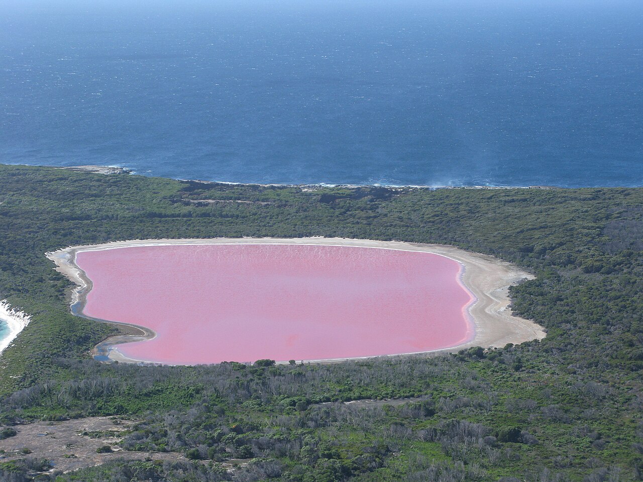 lac hillier middle island 2011 Lac Hillier rose sur Middle Island en Australie en 2011