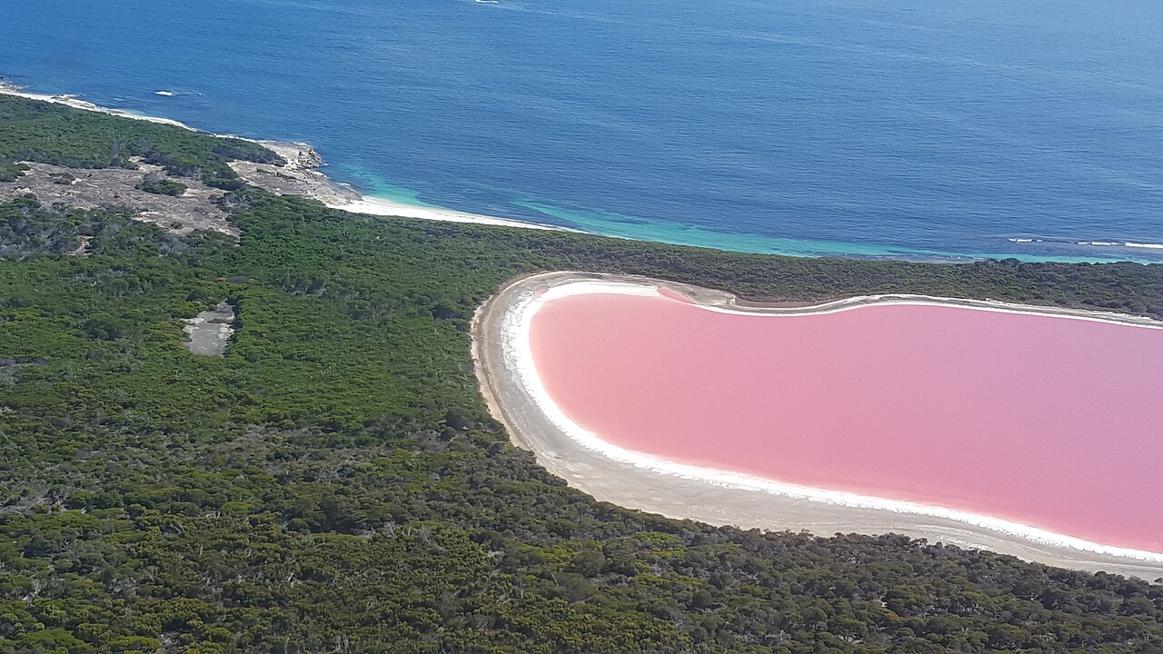 Lac Hillier rose sur Middle Island en Australie-Occidentale en 2016 Lac Hillier rose sur Middle Island en Australie-Occidentale en 2016