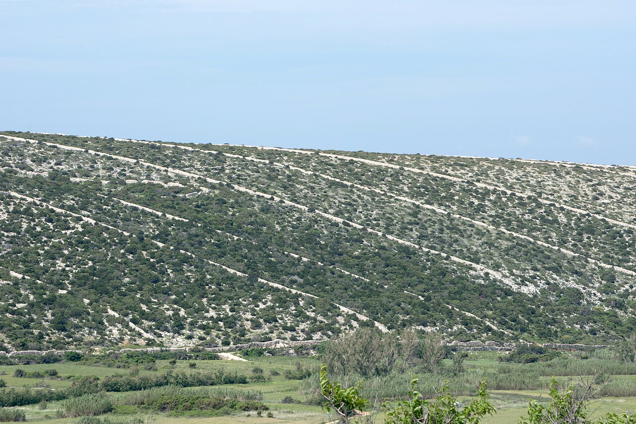 Murs traditionnels en pierre sèche suhozid sur l’île de Pag en Croatie Murs traditionnels en pierre sèche suhozid sur l’île de Pag en Croatie