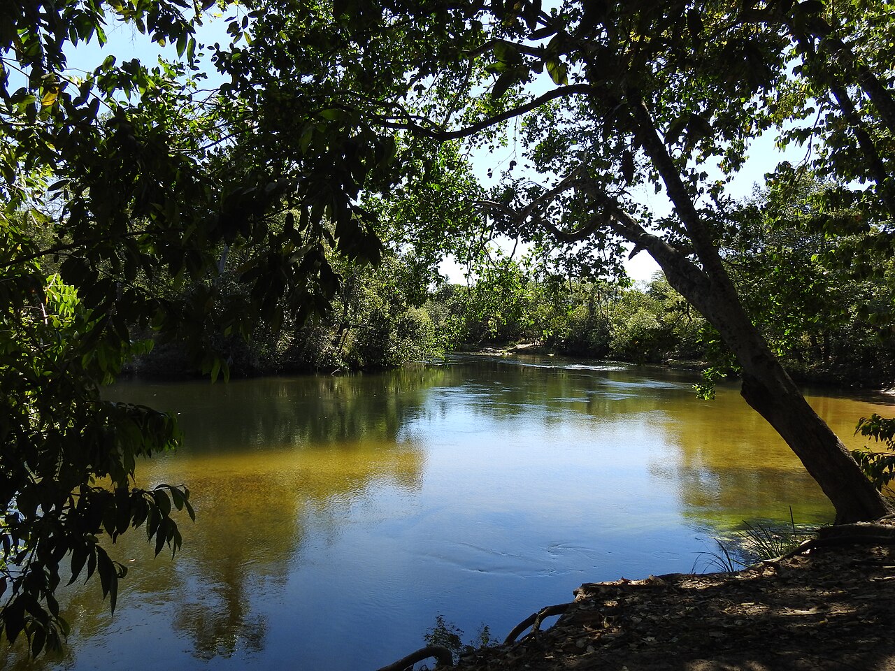 Praia do Alecrim près du Fervedouro do Alecrim à São Félix do Tocantins Praia do Alecrim près du Fervedouro do Alecrim à São Félix do Tocantins