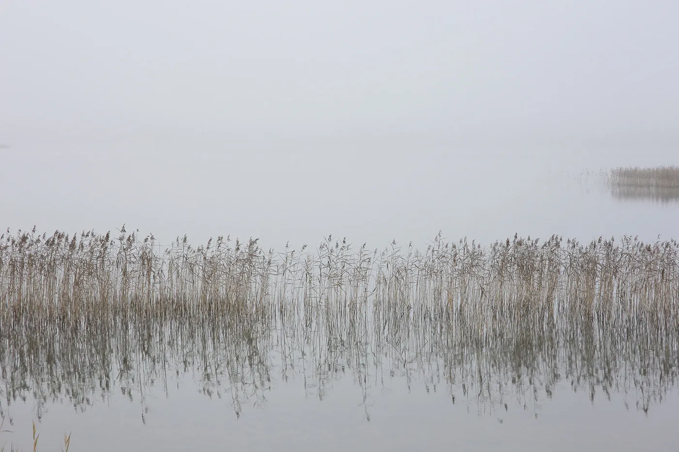 Silence et brume sur un plan d'eau de Lituanie silence et brume sur un plan d eau de Lituanie don t Break the Silence par Mindaugas Buivydas 2 silence-et-brume-sur-un-plan-d-eau-de-Lituanie-don-t-Break-the-Silence-par-Mindaugas-Buivydas-2