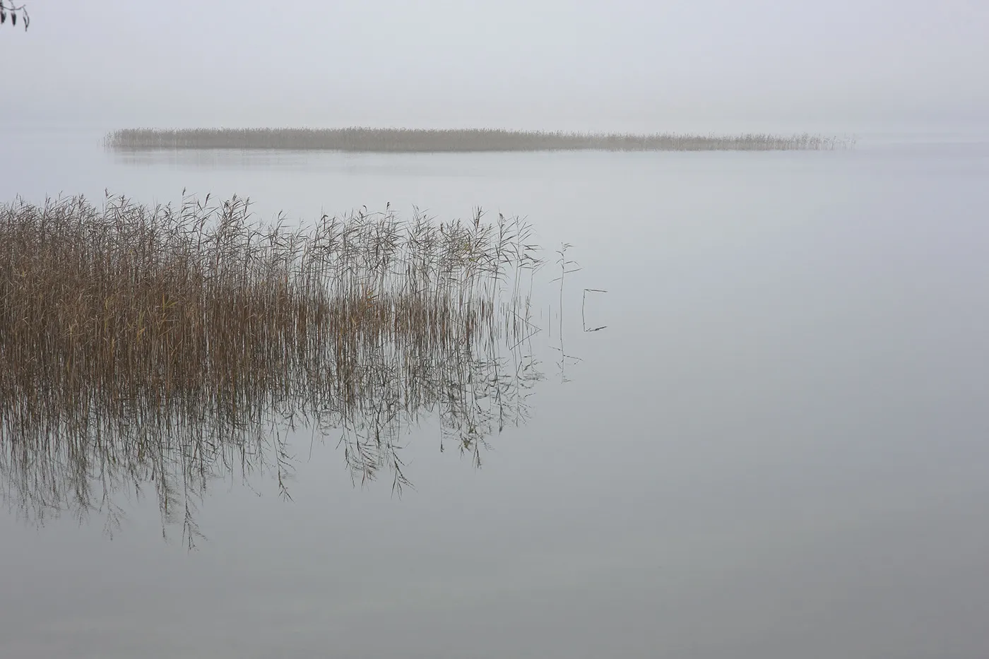 Silence et brume sur un plan d'eau de Lituanie silence et brume sur un plan d eau de Lituanie don t Break the Silence par Mindaugas Buivydas 5 silence-et-brume-sur-un-plan-d-eau-de-Lituanie-don-t-Break-the-Silence-par-Mindaugas-Buivydas-5