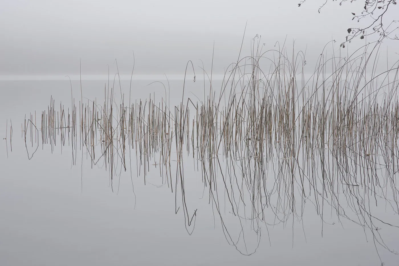 Silence et brume sur un plan d'eau de Lituanie silence et brume sur un plan d eau de Lituanie don t Break the Silence par Mindaugas Buivydas 6 /silence-et-brume-sur-un-plan-d-eau-de-Lituanie-don-t-Break-the-Silence-par-Mindaugas-Buivydas-6