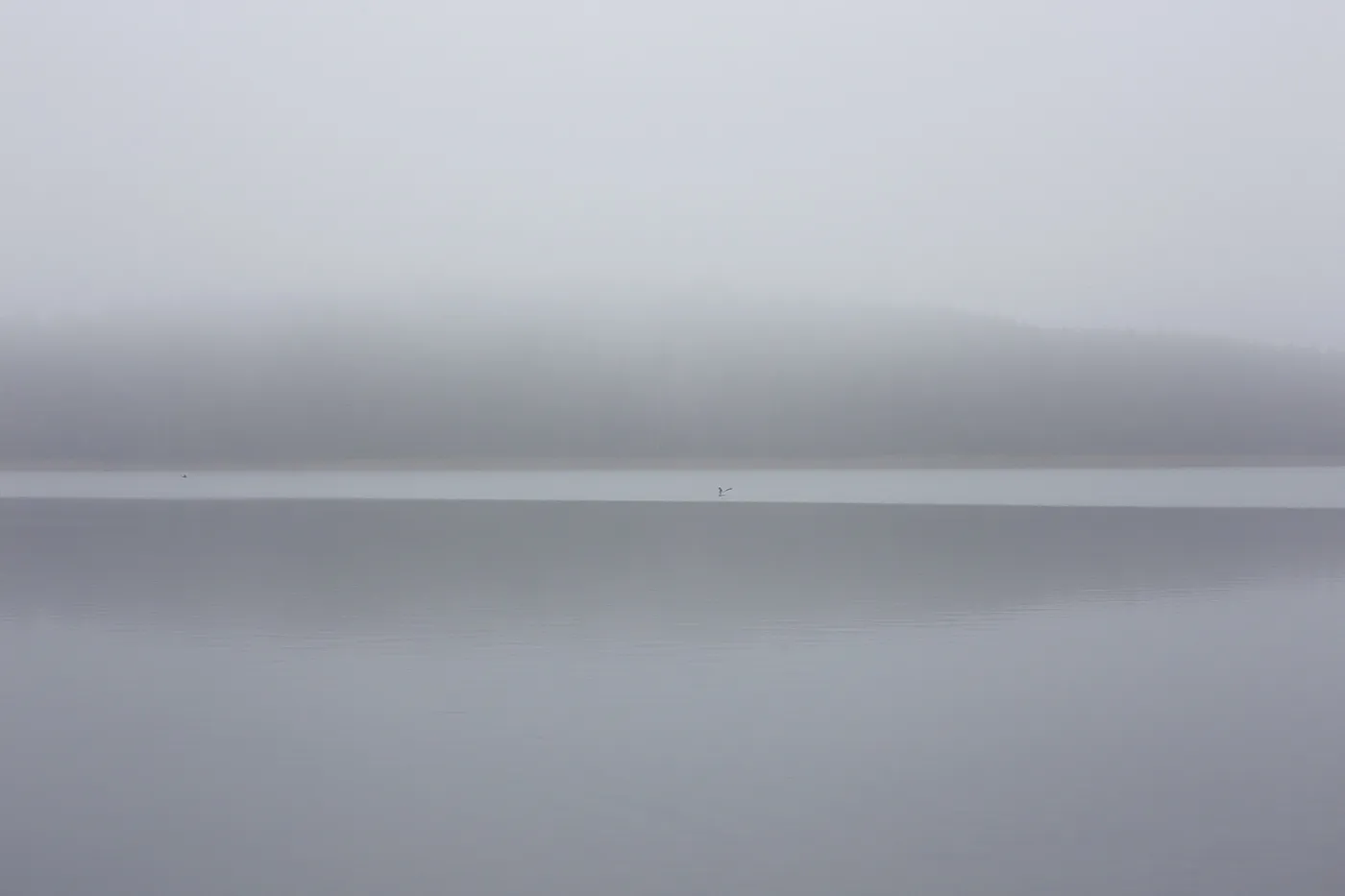 Silence et brume sur un plan d'eau de Lituanie silence et brume sur un plan d eau de Lituanie don t Break the Silence par Mindaugas Buivydas 7 silence-et-brume-sur-un-plan-d-eau-de-Lituanie-don-t-Break-the-Silence-par-Mindaugas-Buivydas-7