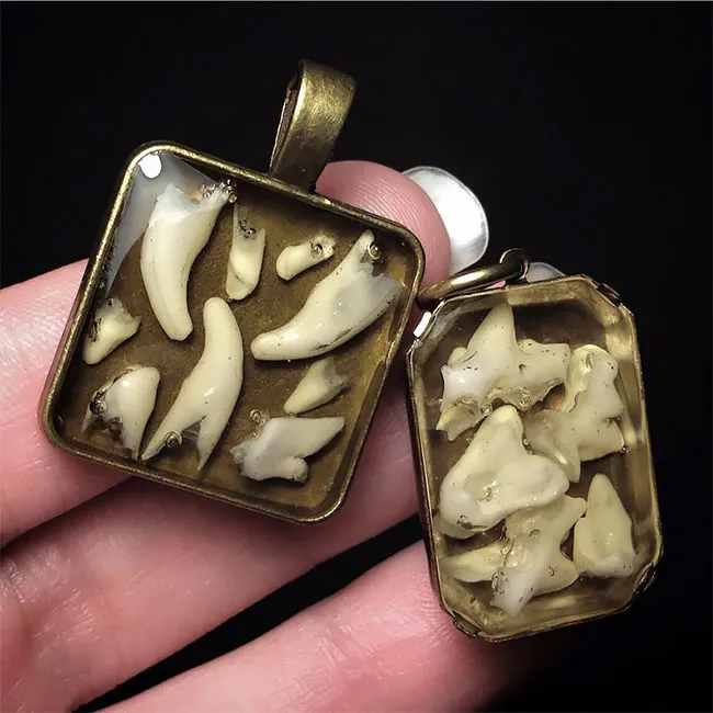 Des bijoux en dents humaines Des bijoux en dents humaines pendentif collier bague couble oreille bracelet dent 16 Des-bijoux-en-dents-humaines-pendentif-collier-bague-couble-oreille-bracelet-dent