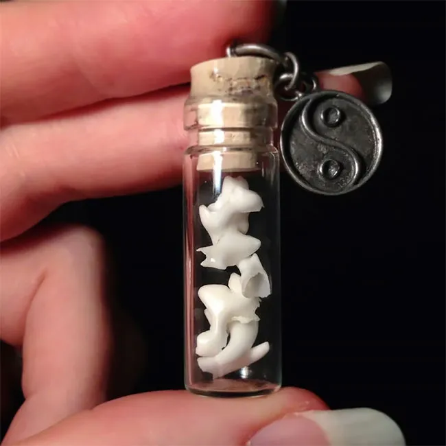 Des bijoux en dents humaines Des bijoux en dents humaines pendentif collier bague couble oreille bracelet dent 17 Des-bijoux-en-dents-humaines-pendentif-collier-bague-couble-oreille-bracelet-dent