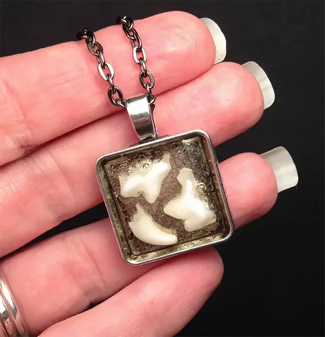 Des bijoux en dents humaines Des bijoux en dents humaines pendentif collier bague couble oreille bracelet dent 18 Des-bijoux-en-dents-humaines-pendentif-collier-bague-couble-oreille-bracelet-dent