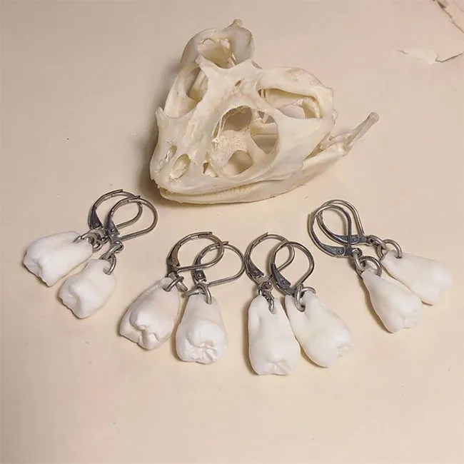 Des bijoux en dents humaines Des bijoux en dents humaines pendentif collier bague couble oreille bracelet dent 4 Des-bijoux-en-dents-humaines-pendentif-collier-bague-couble-oreille-bracelet-dent