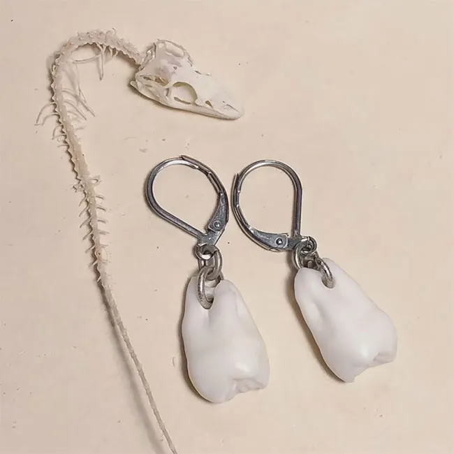 Des bijoux en dents humaines Des bijoux en dents humaines pendentif collier bague couble oreille bracelet dent 5 Des-bijoux-en-dents-humaines-pendentif-collier-bague-couble-oreille-bracelet-dent