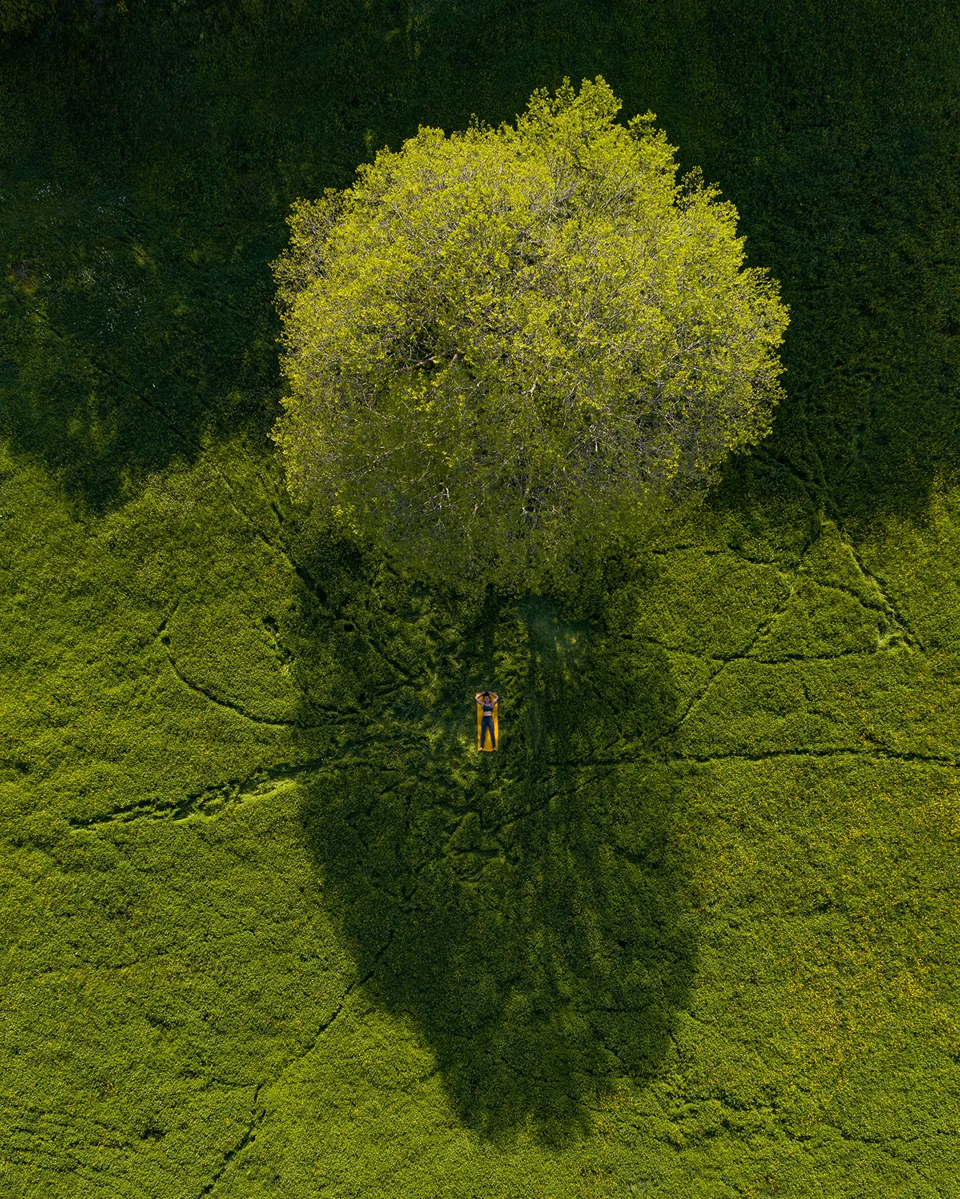 Drone portraits - de magnifiques portraits par drone Drone portraits des portraits par drone Beglik Tash bulgarie Drone-portraits-des-portraits-par-drone-Beglik-Tash-bulgarie