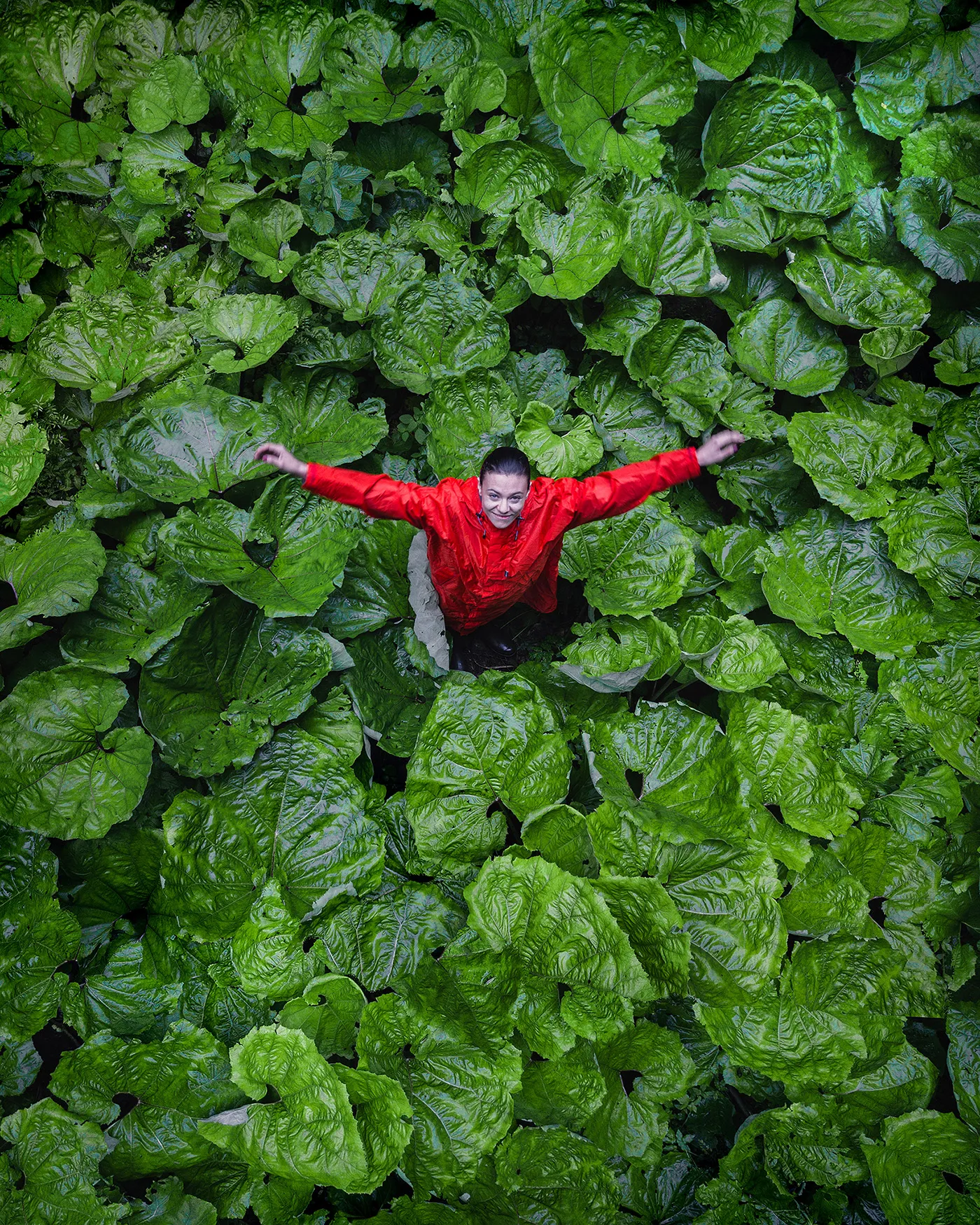 Drone portraits - de magnifiques portraits par drone Drone portraits des portraits par drone Rhodopes bulgarie Drone-portraits-des-portraits-par-drone-Rhodopes-bulgarie