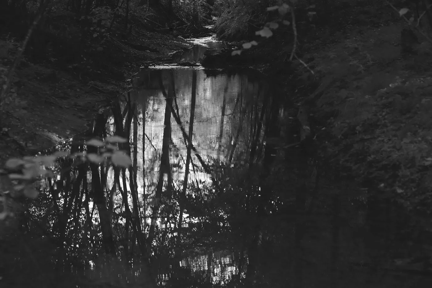 Invitations - nature mystique en noir et blanc par Mindaugas Buivydas Invitations nature mystique en noir et blanc par Mindaugas Buivydas 7 Invitations-nature-mystique-en-noir-et-blanc-par-Mindaugas-Buivydas