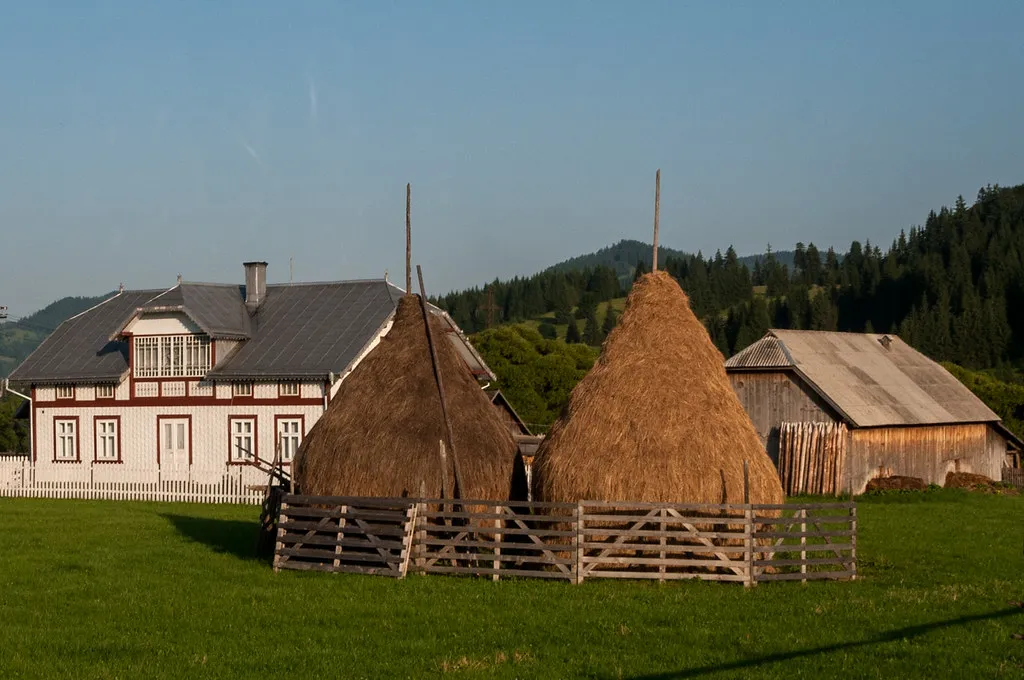 La tradition des meules de foin en Roumanie La tradition des meules de foin en Roumanie botte de foin 10 La-tradition-des-meules-de-foin-en-Roumanie-botte-de-foin-10