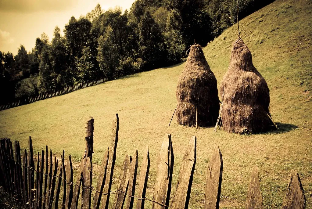 La tradition des meules de foin en Roumanie La tradition des meules de foin en Roumanie botte de foin 12 La-tradition-des-meules-de-foin-en-Roumanie-botte-de-foin-12