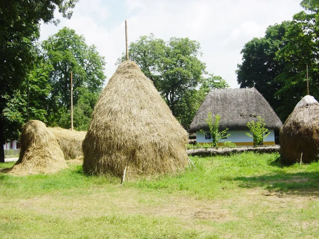 La tradition des meules de foin en Roumanie La tradition des meules de foin en Roumanie botte de foin 13 La-tradition-des-meules-de-foin-en-Roumanie-botte-de-foin-13