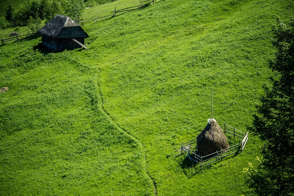 La tradition des meules de foin en Roumanie La tradition des meules de foin en Roumanie botte de foin 9 La-tradition-des-meules-de-foin-en-Roumanie-botte-de-foin-9