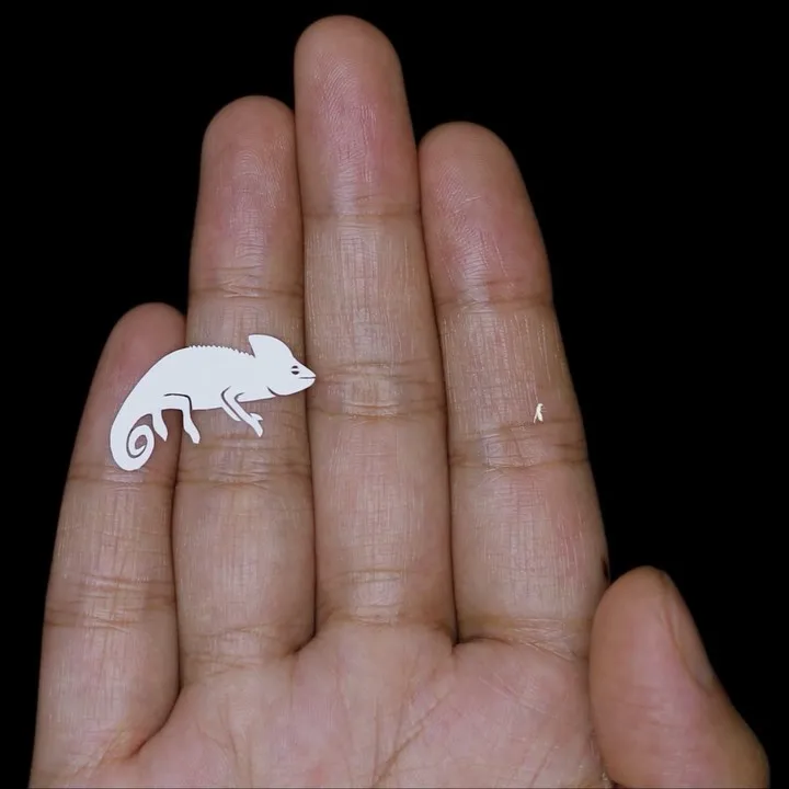 Les délicates sculptures de papier découpé de Parth Kothekar Les delicates sculptures de papier decoupe de Parth Kothekar 32 Les-delicates-sculptures-de-papier-decoupe-de-Parth-Kothekar