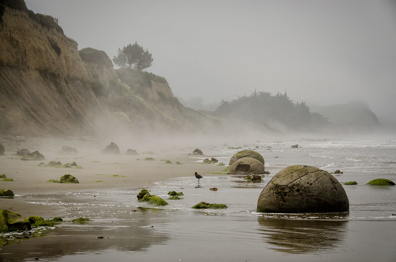 Les étranges boules rocheuses de Moeraki, les Moeraki Boulders Les etranges boules rocheuses de Moeraki les Moeraki Boulders koekohe nouvelle zelande 15 Les-etranges-boules-rocheuses-de-Moeraki-les-Moeraki-Boulders-koekohe-nouvelle-zelande-15