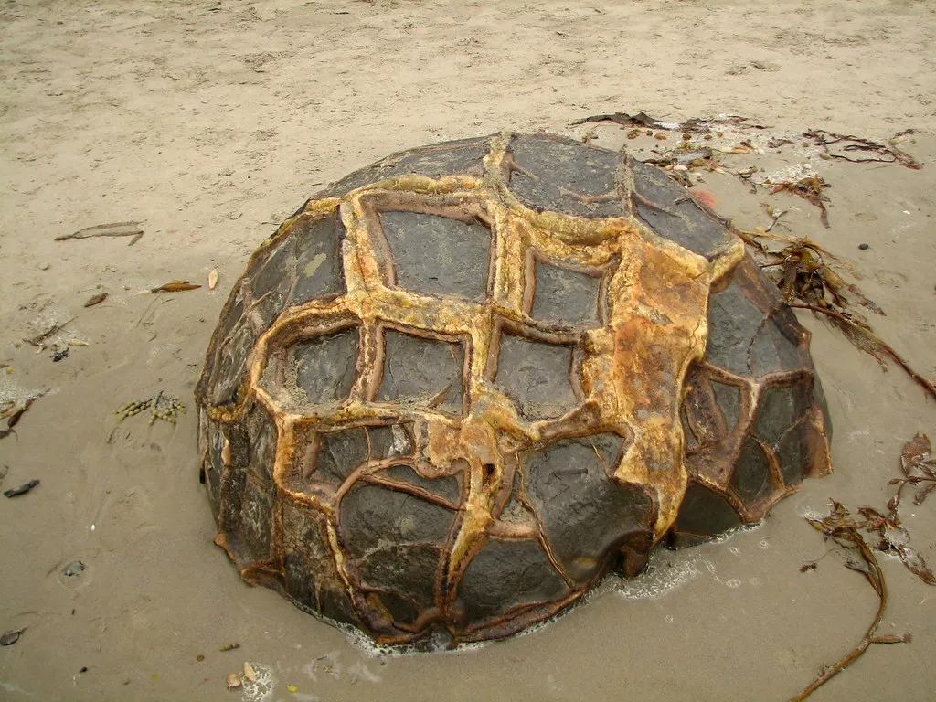 Les étranges boules rocheuses de Moeraki, les Moeraki Boulders Les etranges boules rocheuses de Moeraki les Moeraki Boulders koekohe nouvelle zelande 9 Les-etranges-boules-rocheuses-de-Moeraki-les-Moeraki-Boulders-koekohe-nouvelle-zelande-9