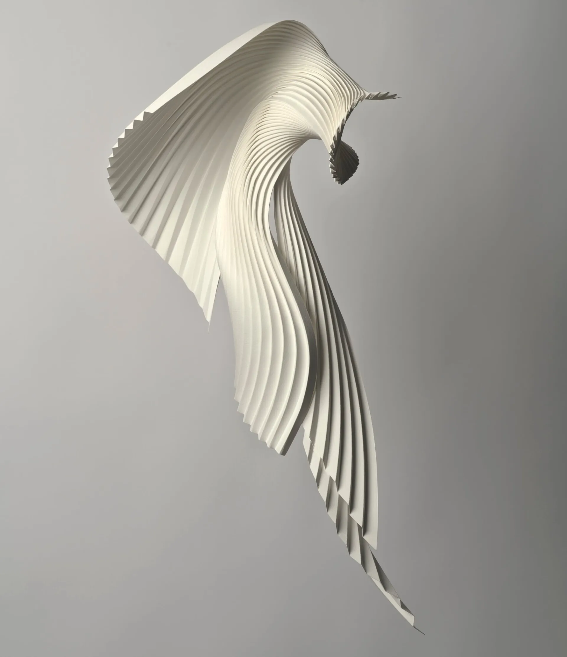 Les gracieuses sculptures de papier 3D de Richard Sweeney Les gracieuses sculptures de papier 3D de Richard Sweeney 4 swan Les-gracieuses-sculptures-de-papier-3D-de-Richard-Sweeney-4-swan