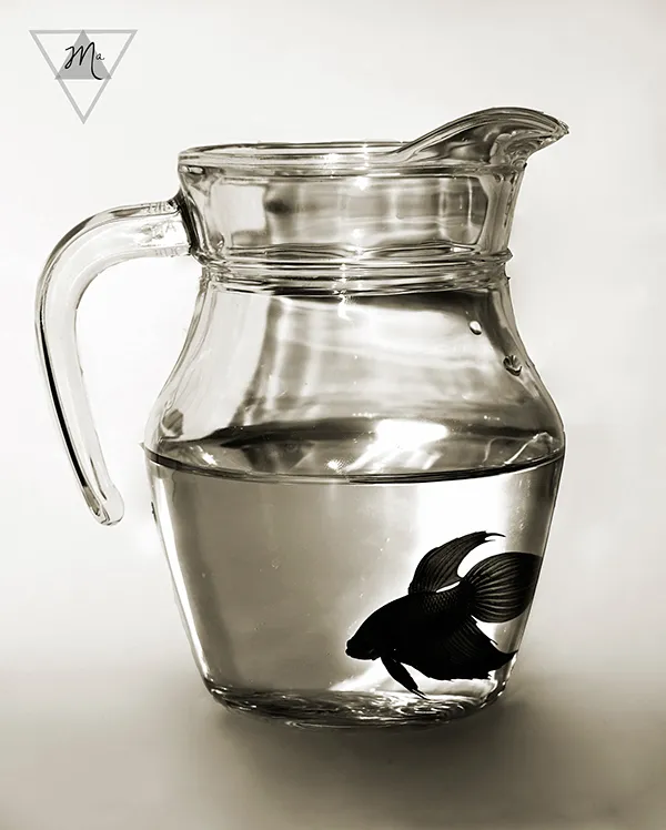 40 clichés d'inspiration Chema Madoz Quelques cliches d inspiration Chema Madoz surrealiste 30 Quelques-cliches-d-inspiration-Chema-Madoz-surrealiste