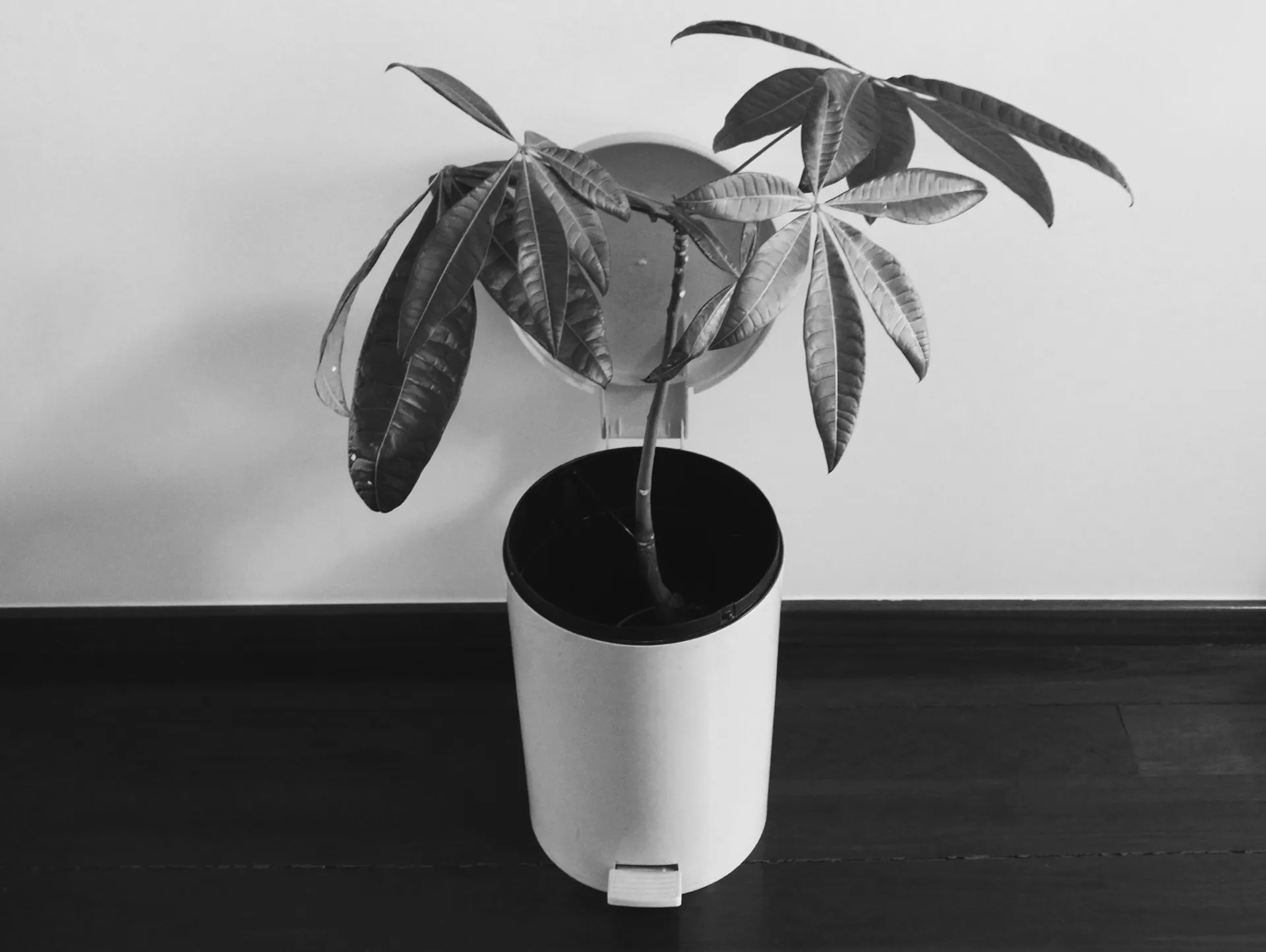 40 clichés d'inspiration Chema Madoz Quelques cliches d inspiration Chema Madoz surrealiste 9 Quelques-cliches-d-inspiration-Chema-Madoz-surrealiste