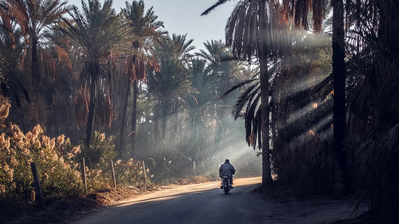 Tozeur, aux portes du Sahara Tozeur aux portes du desert du Sahara tunisie 2 Tozeur-aux-portes-du-desert-du-Sahara-tunisie
