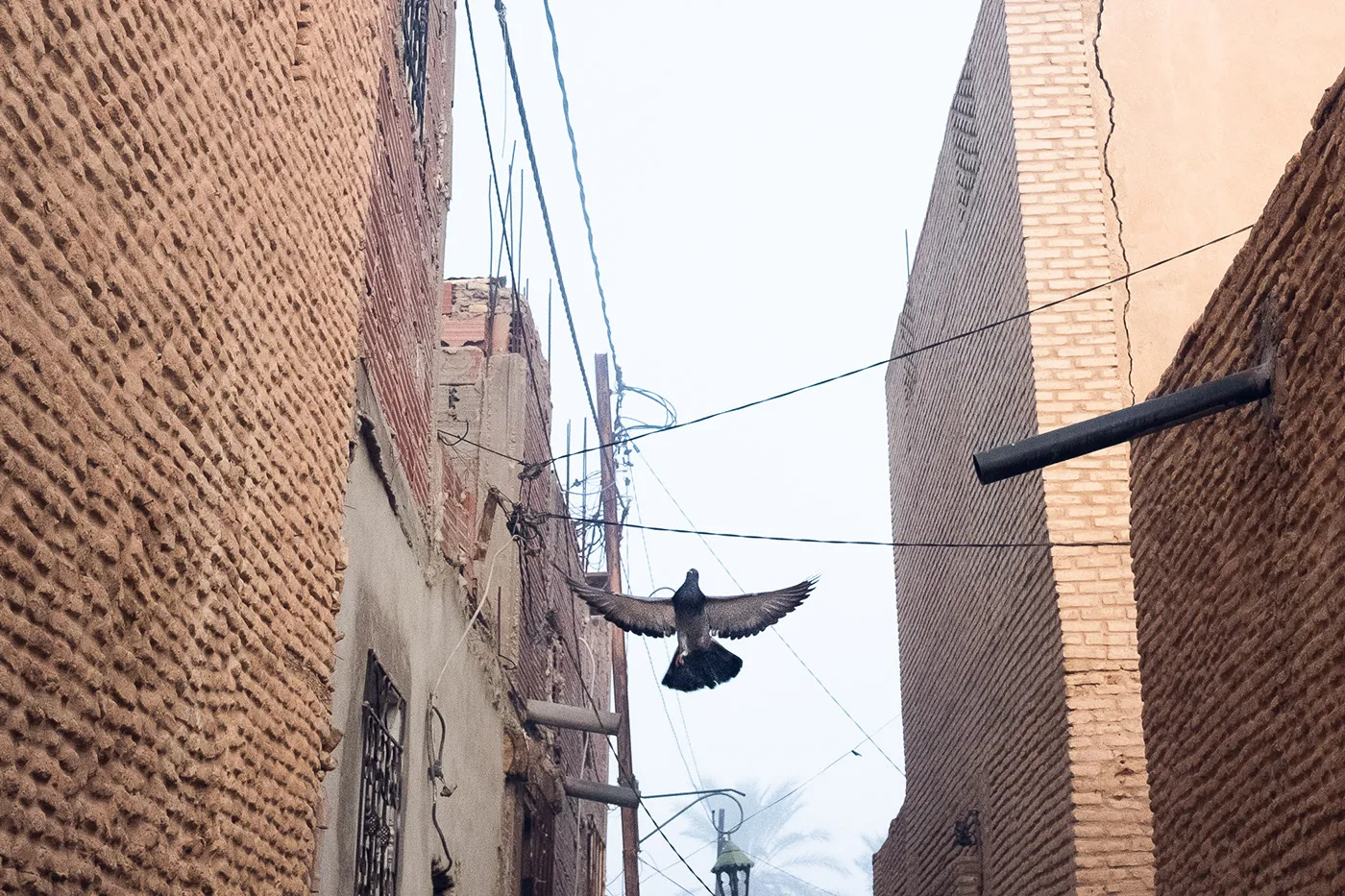 Tozeur, aux portes du Sahara Tozeur aux portes du desert du Sahara tunisie 6 Tozeur-aux-portes-du-desert-du-Sahara-tunisie
